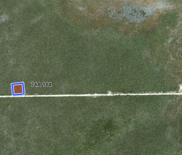 COLLIERS HOMESTEAD 1 ACRE