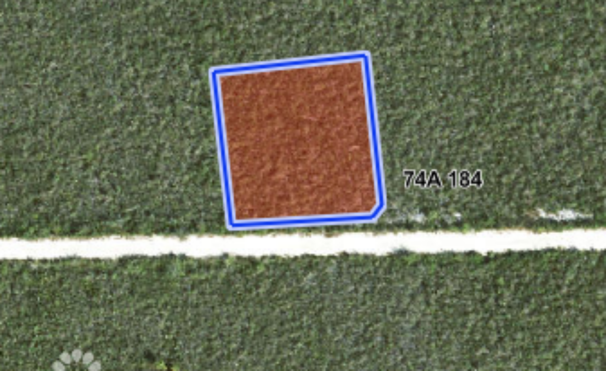 COLLIERS HOMESTEAD 1 ACRE