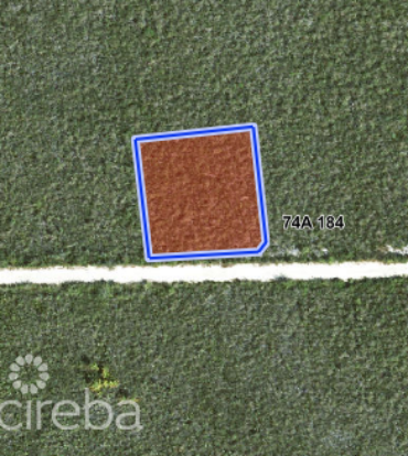 COLLIERS HOMESTEAD 1 ACRE