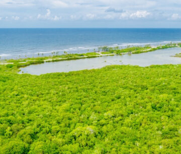 ALEXANDER GROVE SUBDIVISION - CAYMAN BRAC - LOT1