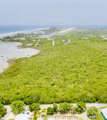 ALEXANDER GROVE SUBDIVISION - CAYMAN BRAC - LOT1