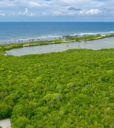 ALEXANDER GROVE SUBDIVISION - CAYMAN BRAC - LOT1