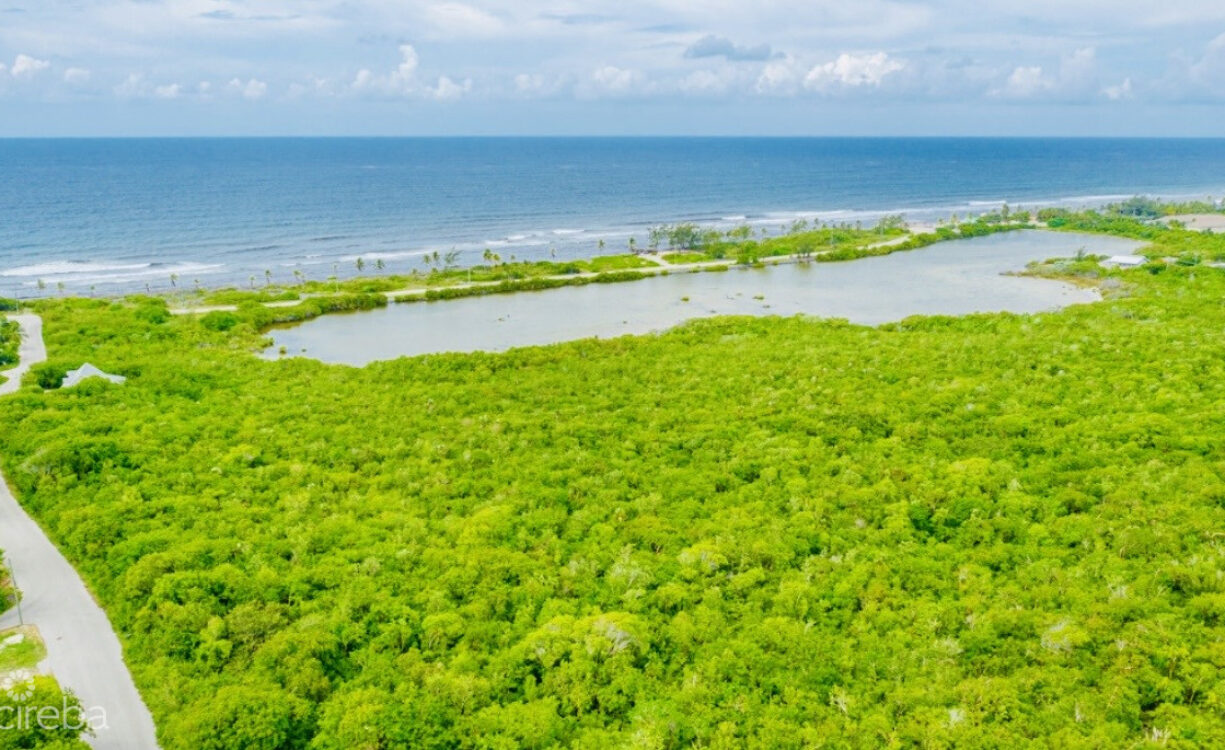 ALEXANDER GROVE SUBDIVISION - CAYMAN BRAC - LOT 3