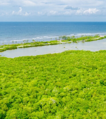 ALEXANDER GROVE SUBDIVISION - CAYMAN BRAC - LOT 3