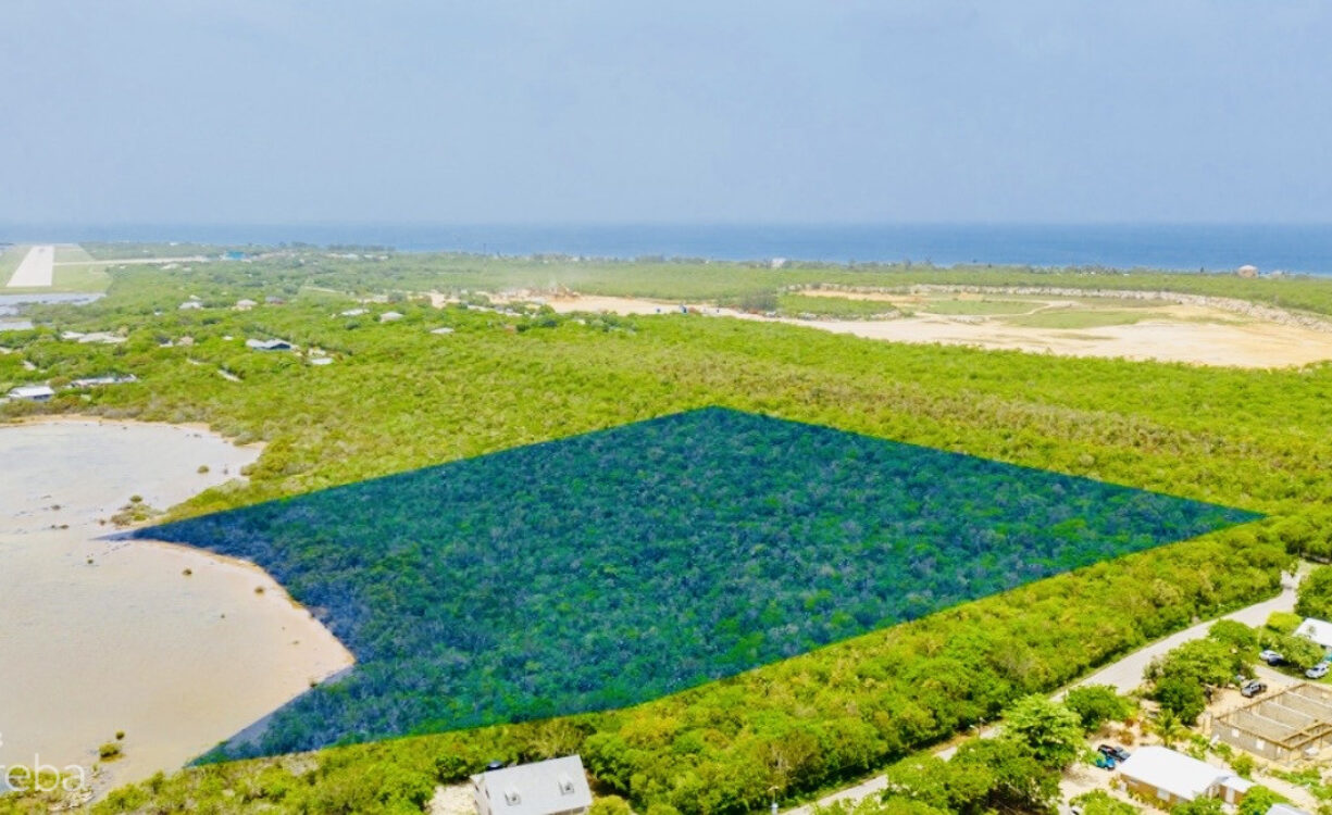 ALEXANDER GROVE SUBDIVISION - CAYMAN BRAC - LOT 3