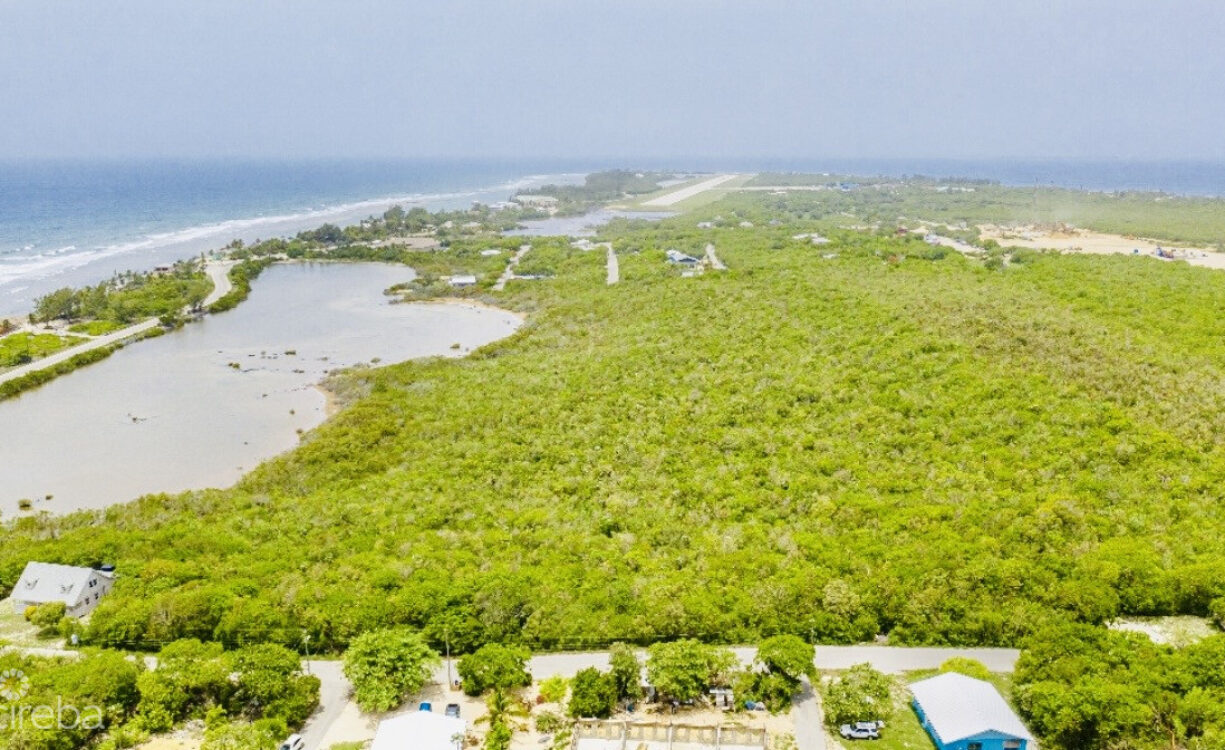 ALEXANDER GROVE SUBDIVISION - CAYMAN BRAC - LOT 2