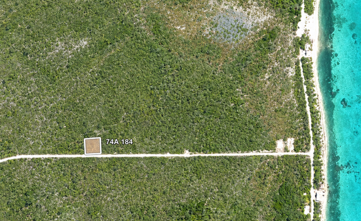 COLLIERS HOMESTEAD 1 ACRE