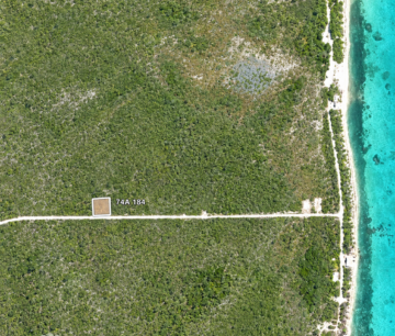 COLLIERS HOMESTEAD 1 ACRE