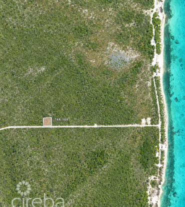 COLLIERS HOMESTEAD 1 ACRE