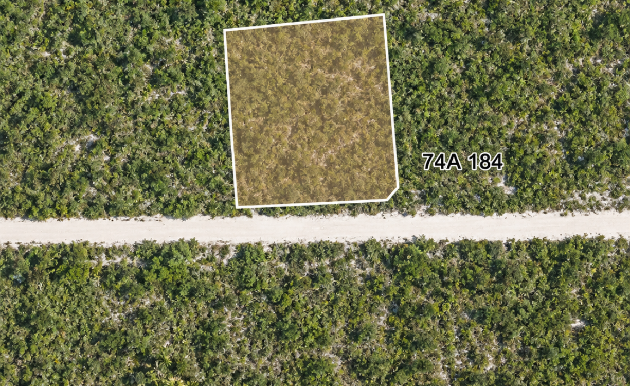 COLLIERS HOMESTEAD 1 ACRE