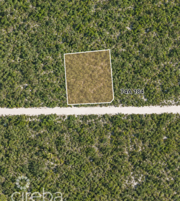 COLLIERS HOMESTEAD 1 ACRE