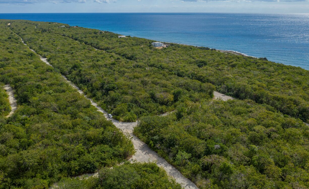 SELWORTHY GROVE 0.28, CAYMAN BRAC BLUFF
