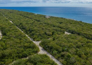 Selworthy Grove 0.28, Cayman Brac Bluff