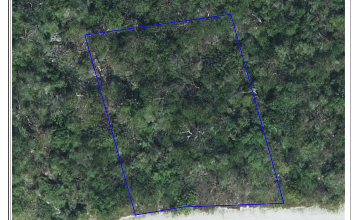 SELWORTHY GROVE 0.28, CAYMAN BRAC BLUFF