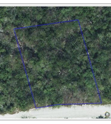 SELWORTHY GROVE 0.28, CAYMAN BRAC BLUFF