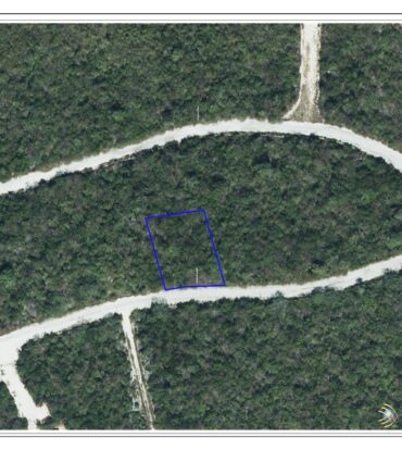 SELWORTHY GROVE 0.28, CAYMAN BRAC BLUFF