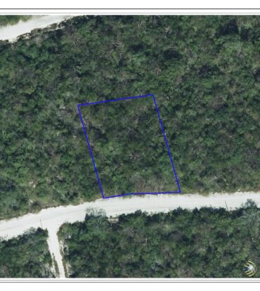 SELWORTHY GROVE 0.28, CAYMAN BRAC BLUFF