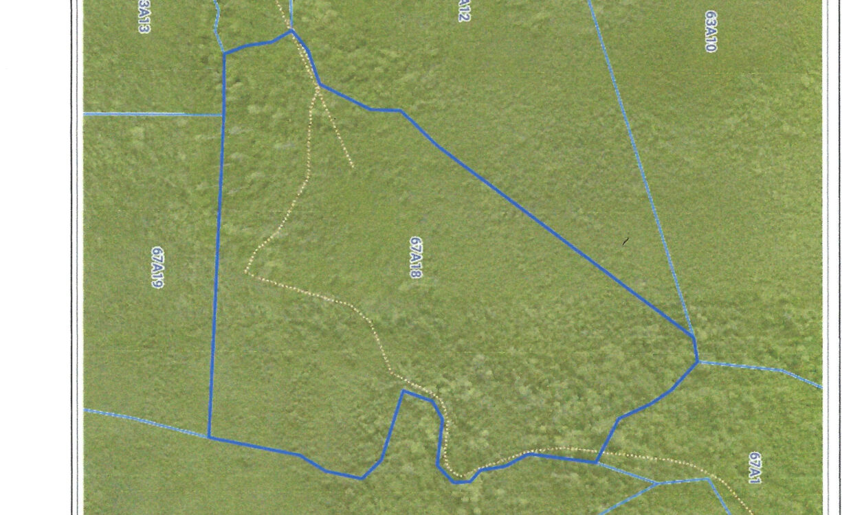 EAST INTERIOR LAND