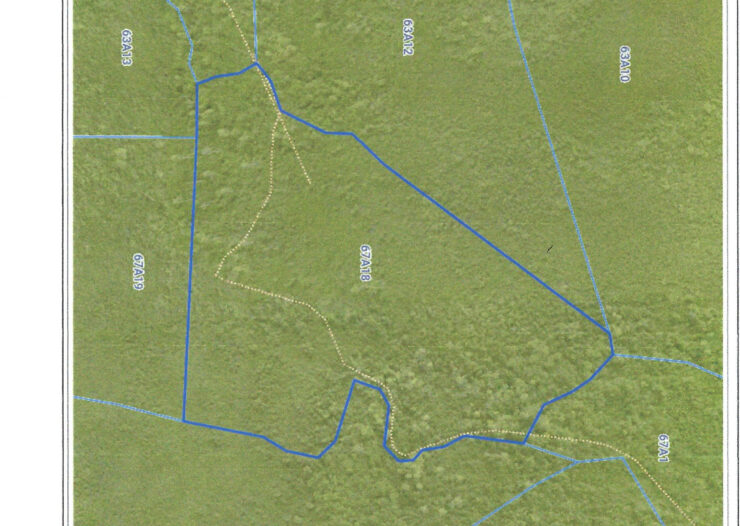 EAST INTERIOR LAND