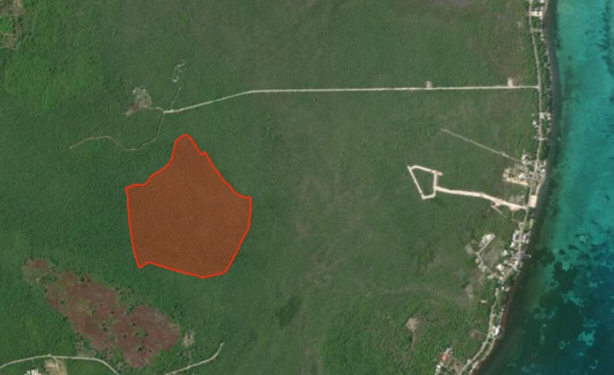78 ACRES - COLLIERS