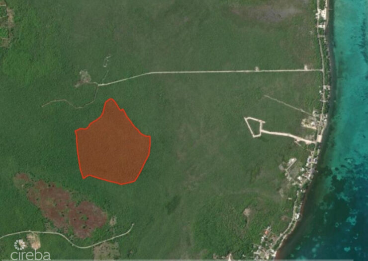 78 ACRES - COLLIERS