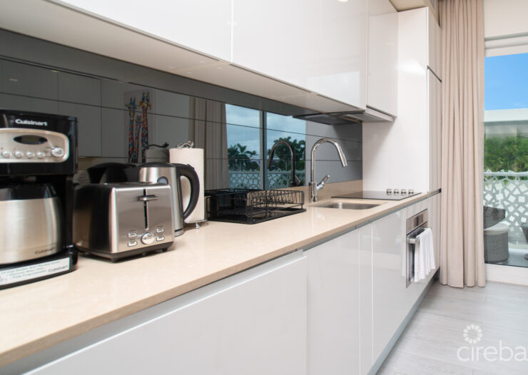 STUDIO PARADISUM AT THE GROVE