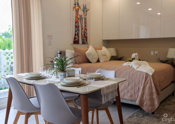 STUDIO PARADISUM AT THE GROVE