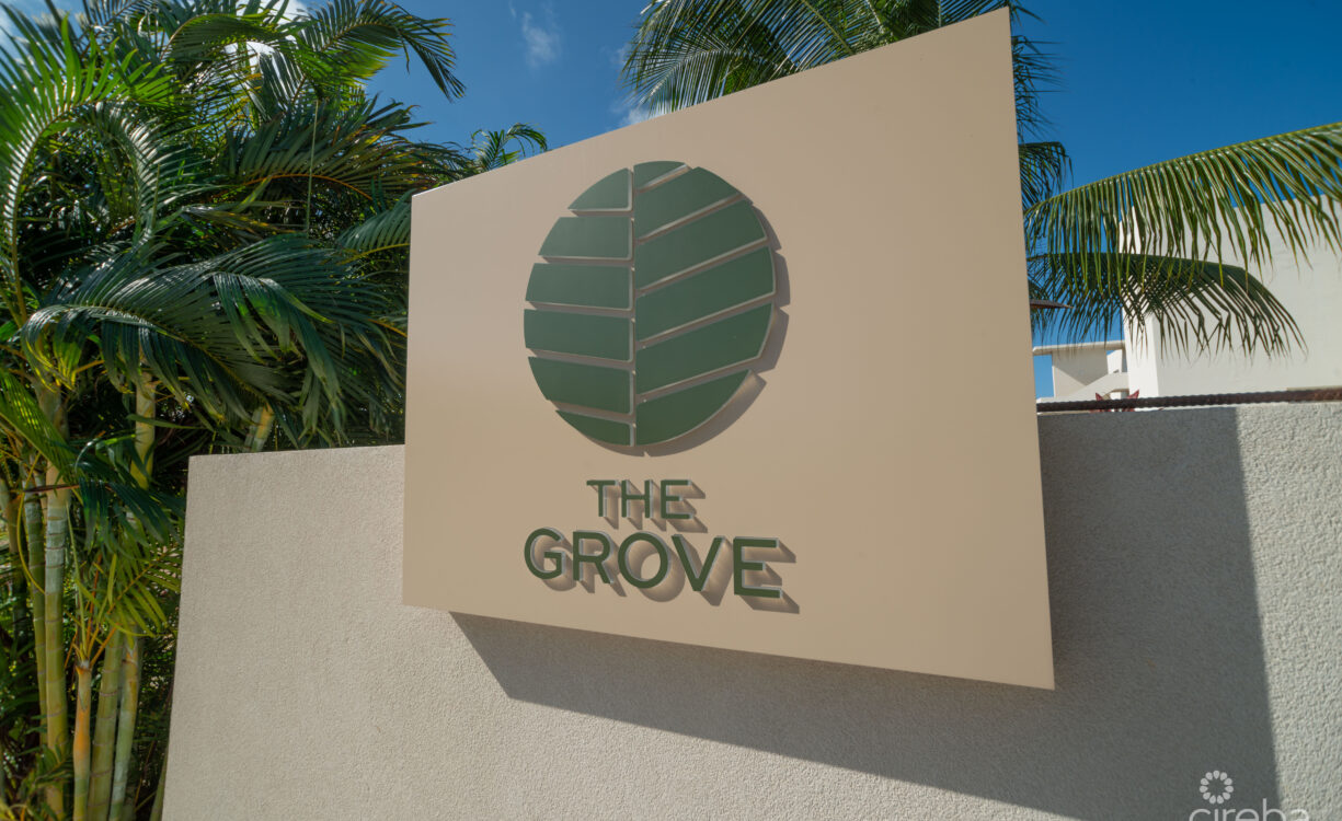 STUDIO PARADISUM AT THE GROVE