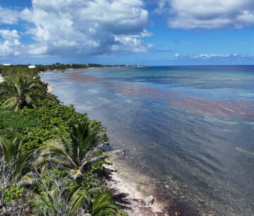 LARGE BEACHFRONT LOT - RUM POINT DRIVE - PERFECT ESTATE PARCEL