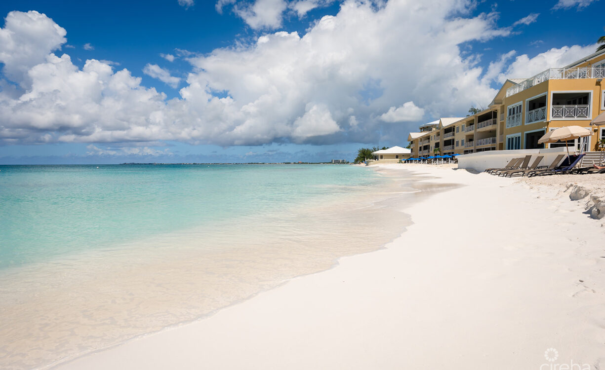 REGAL BEACH CLUB #124