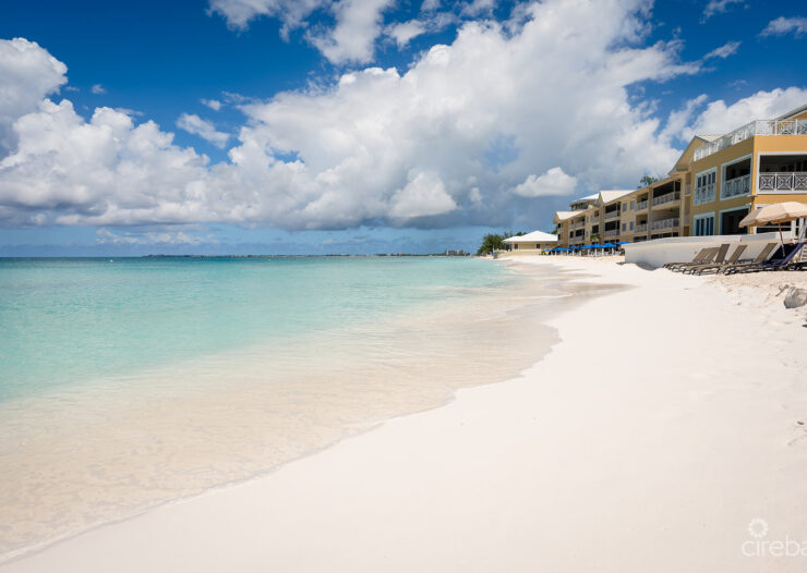 REGAL BEACH CLUB #124