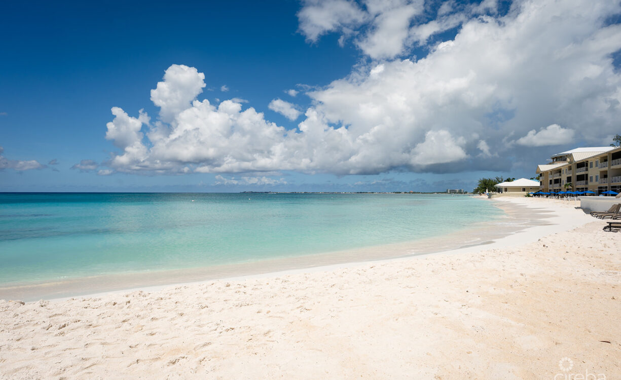 REGAL BEACH CLUB #124