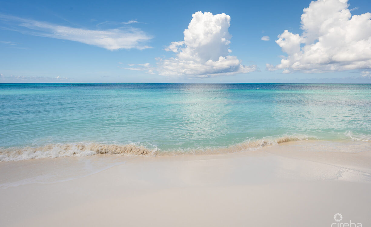 REGAL BEACH CLUB #124