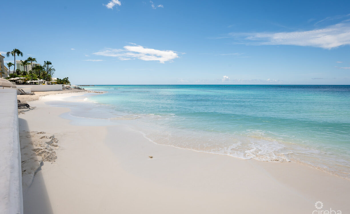 REGAL BEACH CLUB #124