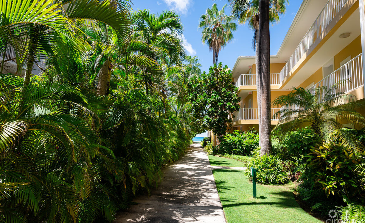 REGAL BEACH CLUB #124