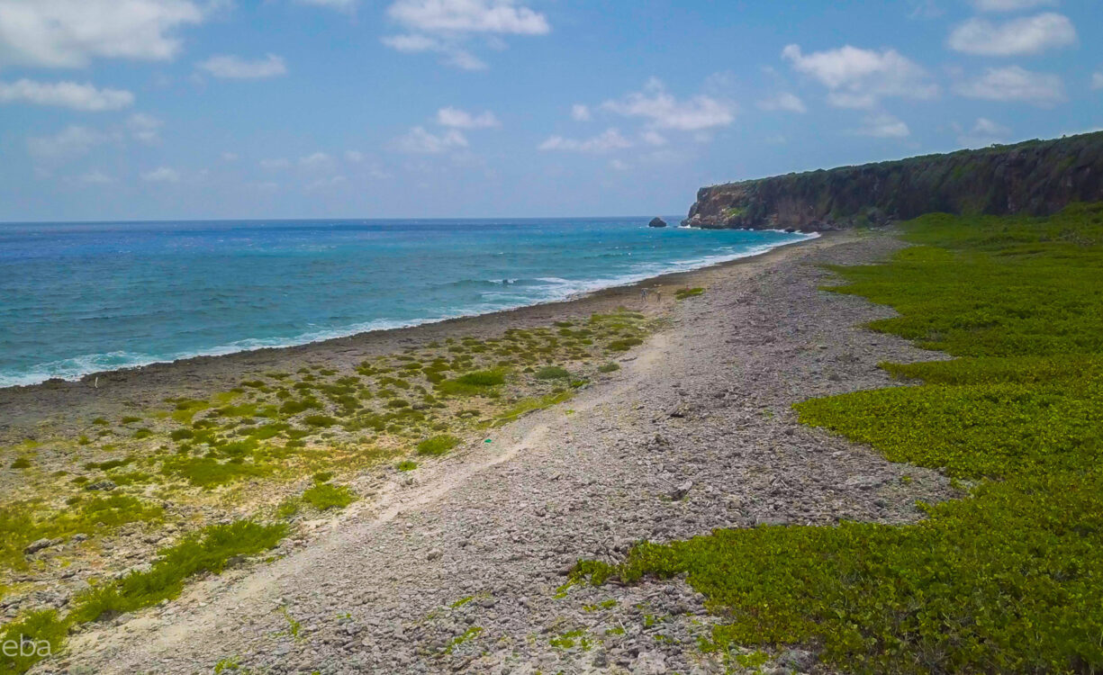 CAYMAN BRAC CORNER LOT WITH OCEAN VIEW