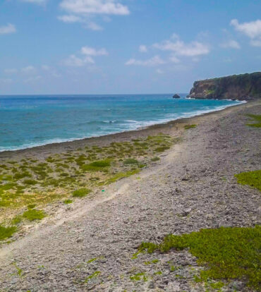 CAYMAN BRAC CORNER LOT WITH OCEAN VIEW