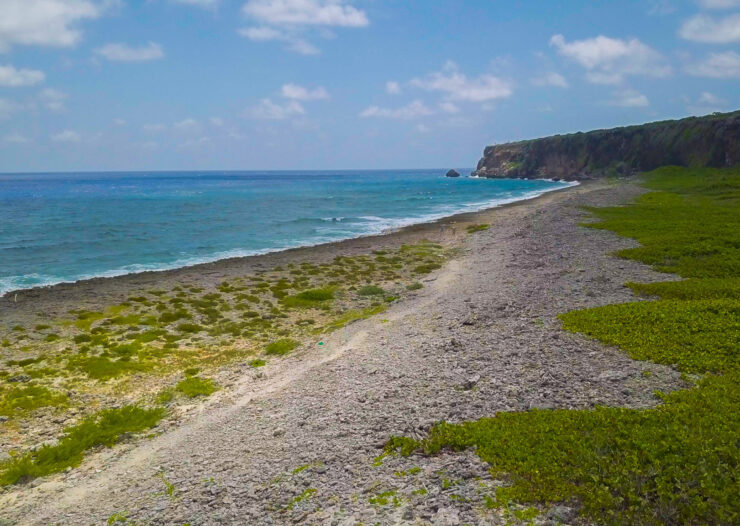 CAYMAN BRAC CORNER LOT WITH OCEAN VIEW