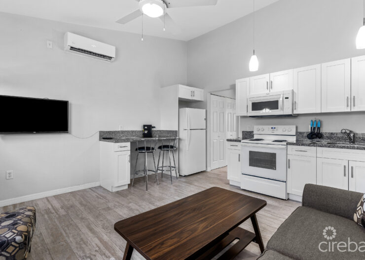 SANDSCAPE RESIDENCES #29
