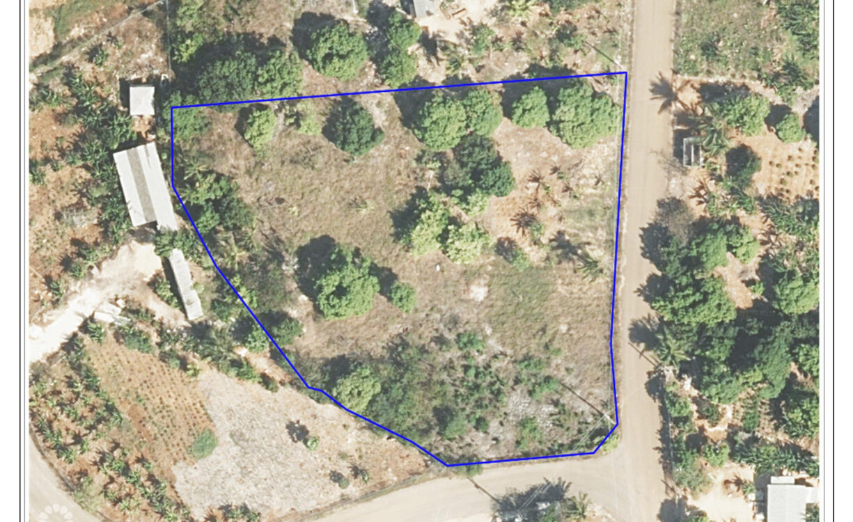 FARM LAND OFF NEW HUT DR - 1.011 ACRE      WITH FRUIT TREES