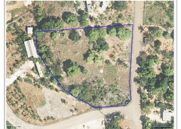 FARM LAND OFF NEW HUT DR - 1.011 ACRE      WITH FRUIT TREES