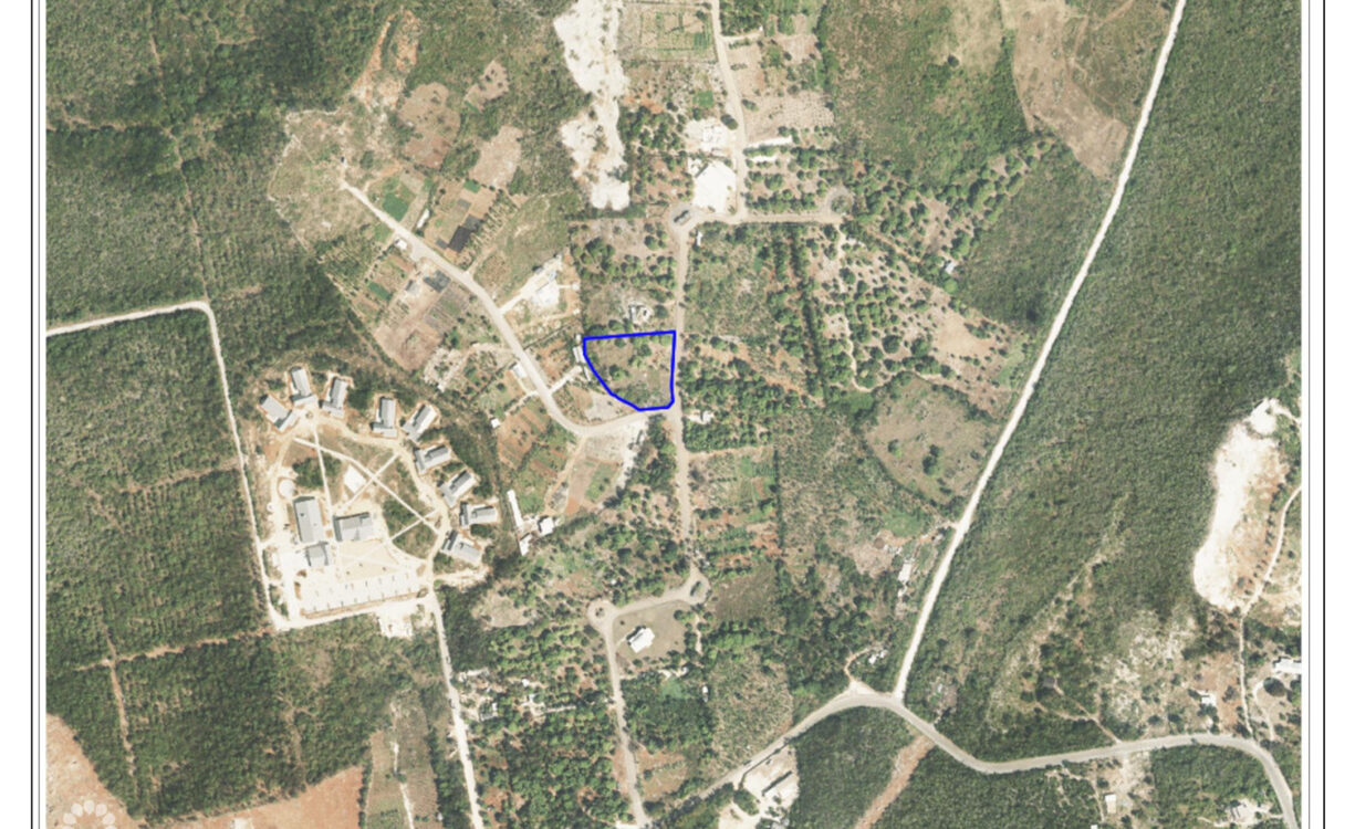 FARM LAND OFF NEW HUT DR - 1.011 ACRE      WITH FRUIT TREES