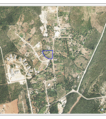 FARM LAND OFF NEW HUT DR - 1.011 ACRE      WITH FRUIT TREES