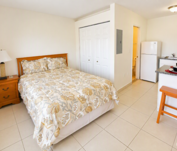 PALM SUITES 1 BED